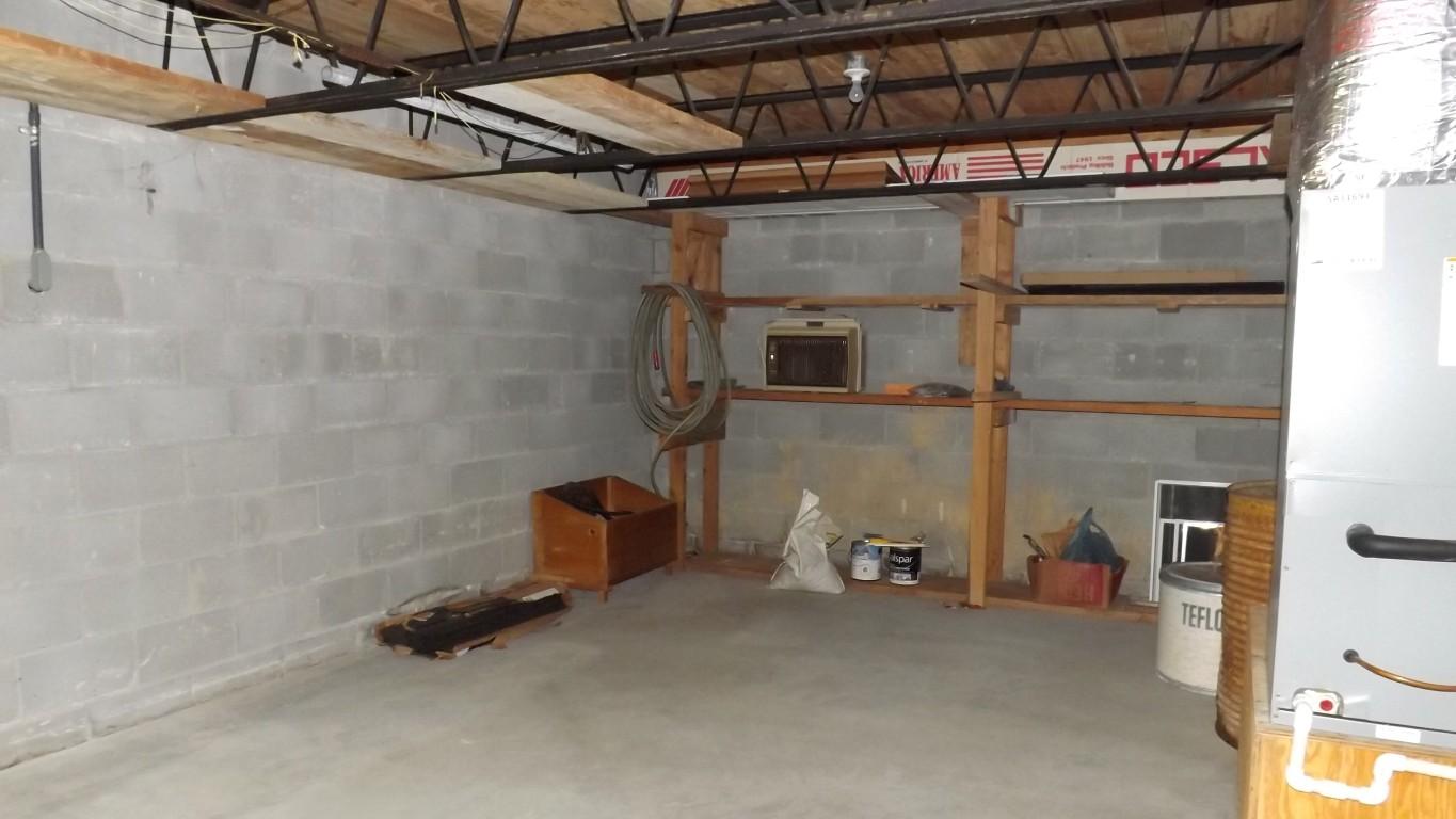 969 Ewing Road, Unit 14 Spring City, TN 37381 - Photo 23 of 27 storage room in basement