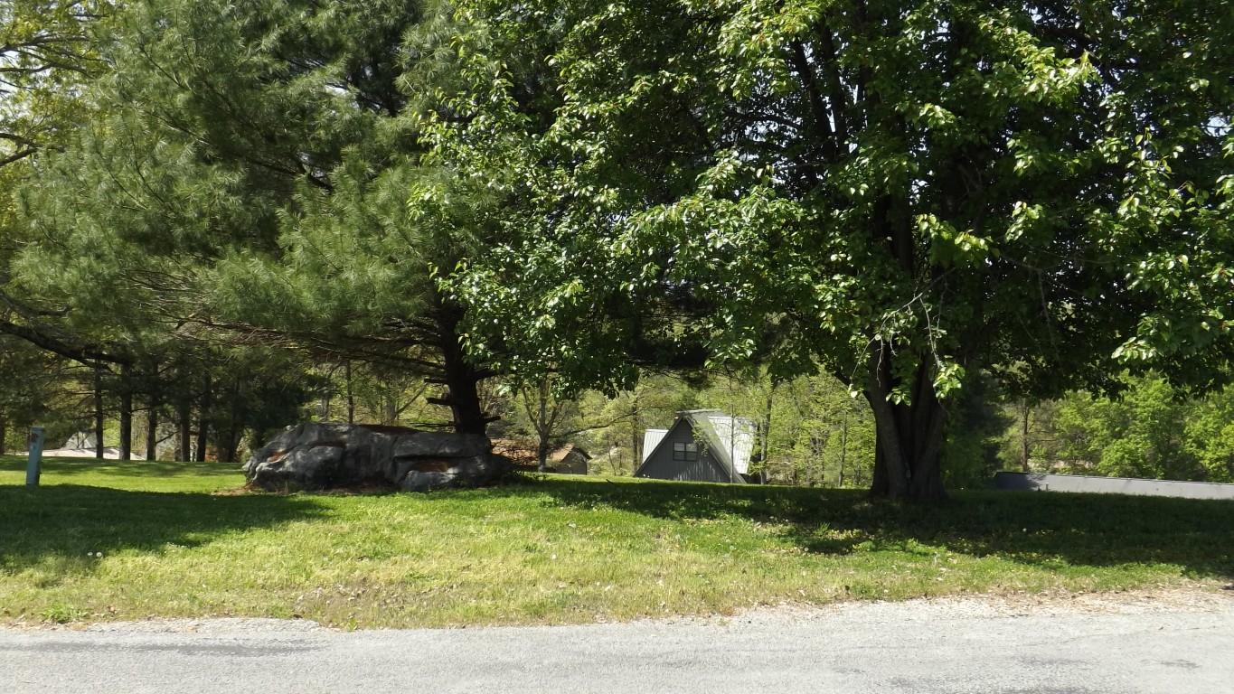 969 Ewing Road, Unit 14 Spring City, TN 37381 - Photo 25 of 27 trees on property