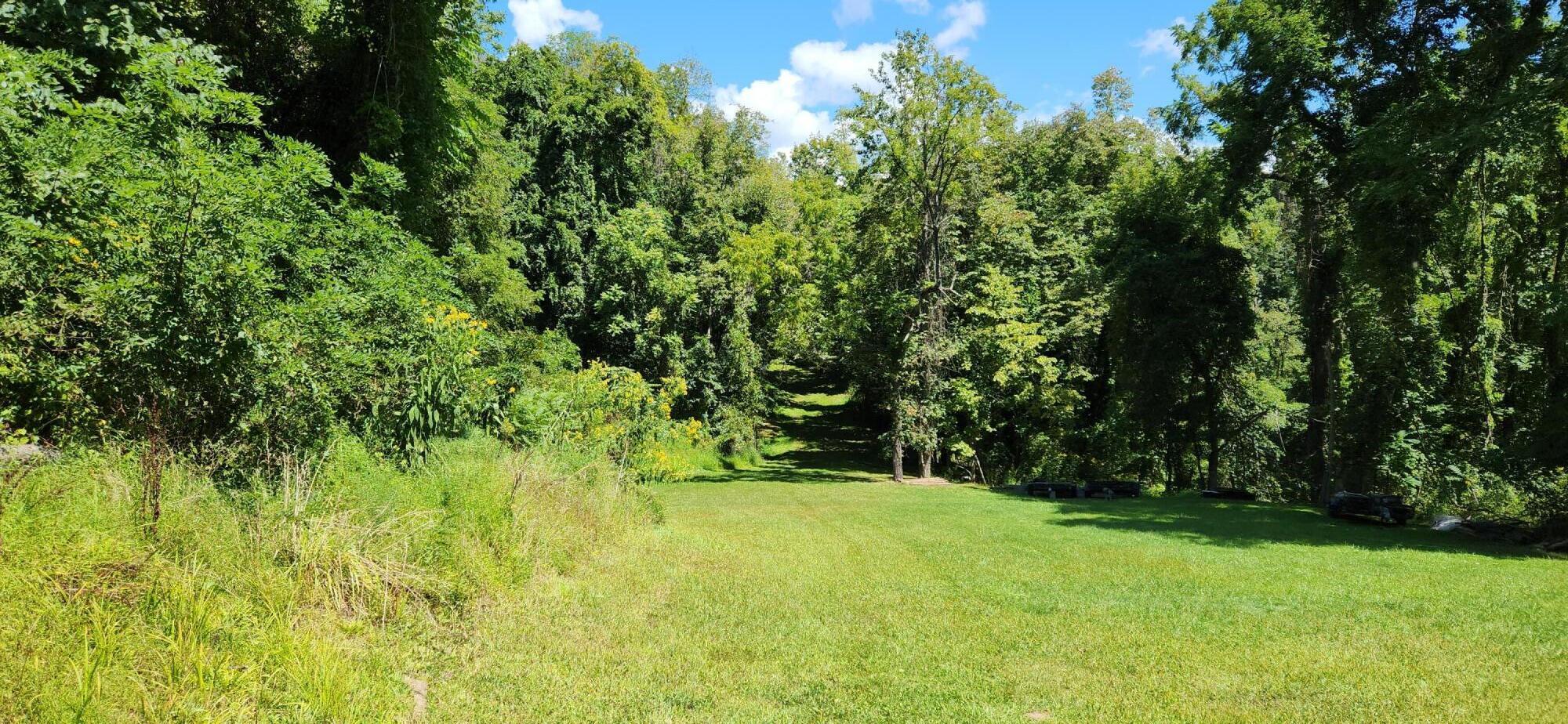 a view of yard with green space
