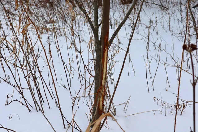 $415,000 | 6182 Hamilton Road, Harrison, MI 48625