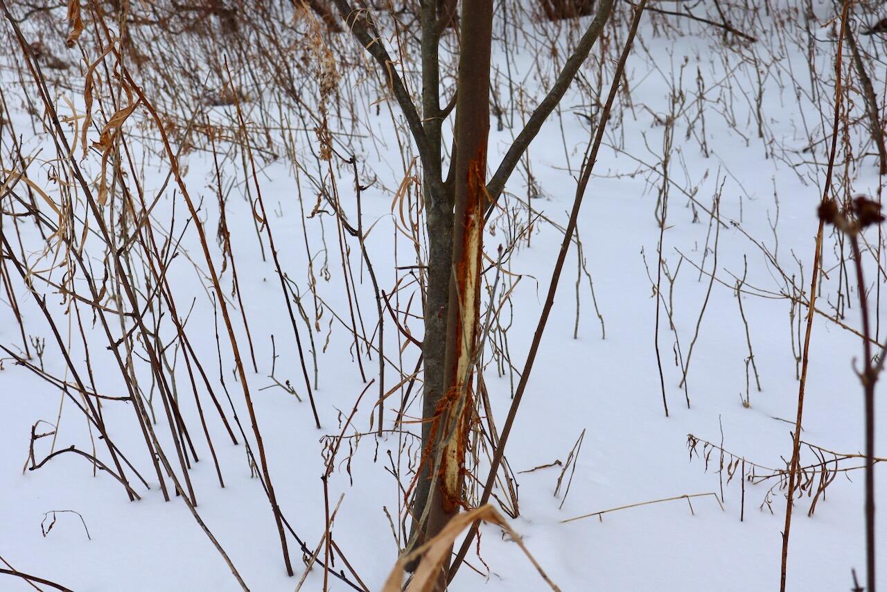 6182 Hamilton Road Harrison, MI 48625 - Photo 13 of 56 013