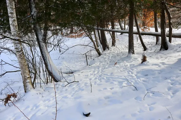 $415,000 | 6182 Hamilton Road, Harrison, MI 48625