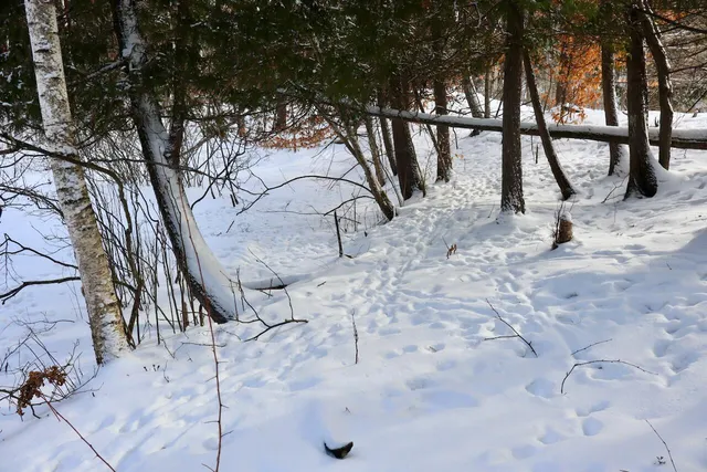 $415,000 | 6182 Hamilton Road, Harrison, MI 48625