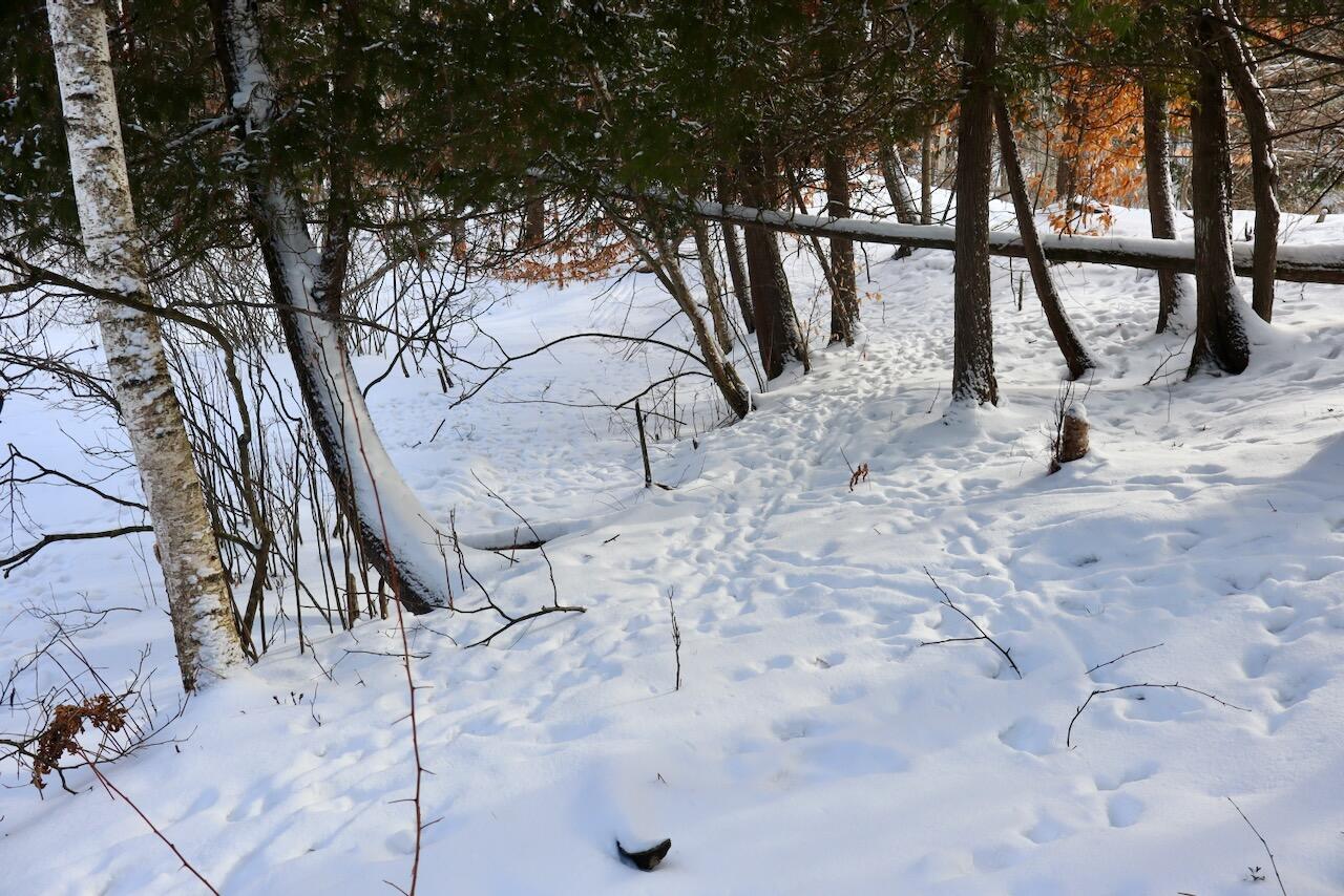 6182 Hamilton Road Harrison, MI 48625 - Photo 14 of 56 014