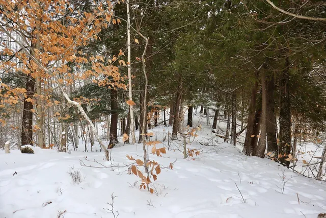 $415,000 | 6182 Hamilton Road, Harrison, MI 48625