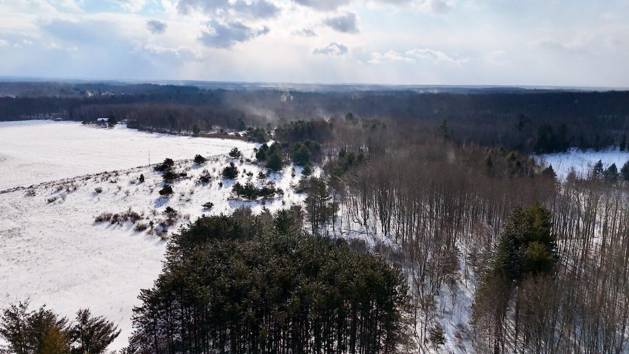 6182 Hamilton Road Harrison, MI 48625 - Photo 16 of 56 DJI_20260127103215_0166_D