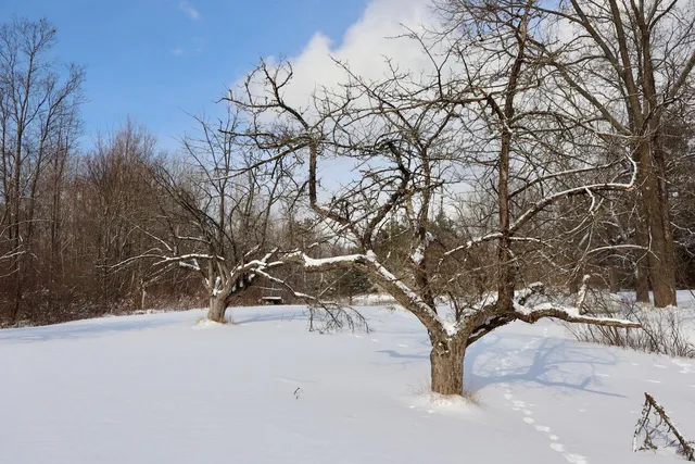 $415,000 | 6182 Hamilton Road, Harrison, MI 48625