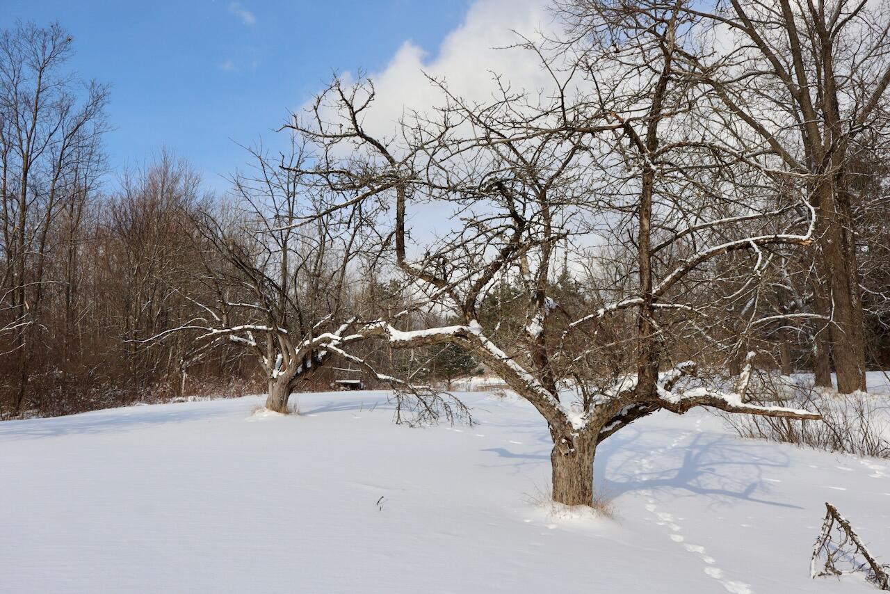 6182 Hamilton Road Harrison, MI 48625 - Photo 19 of 56 IMG_1665