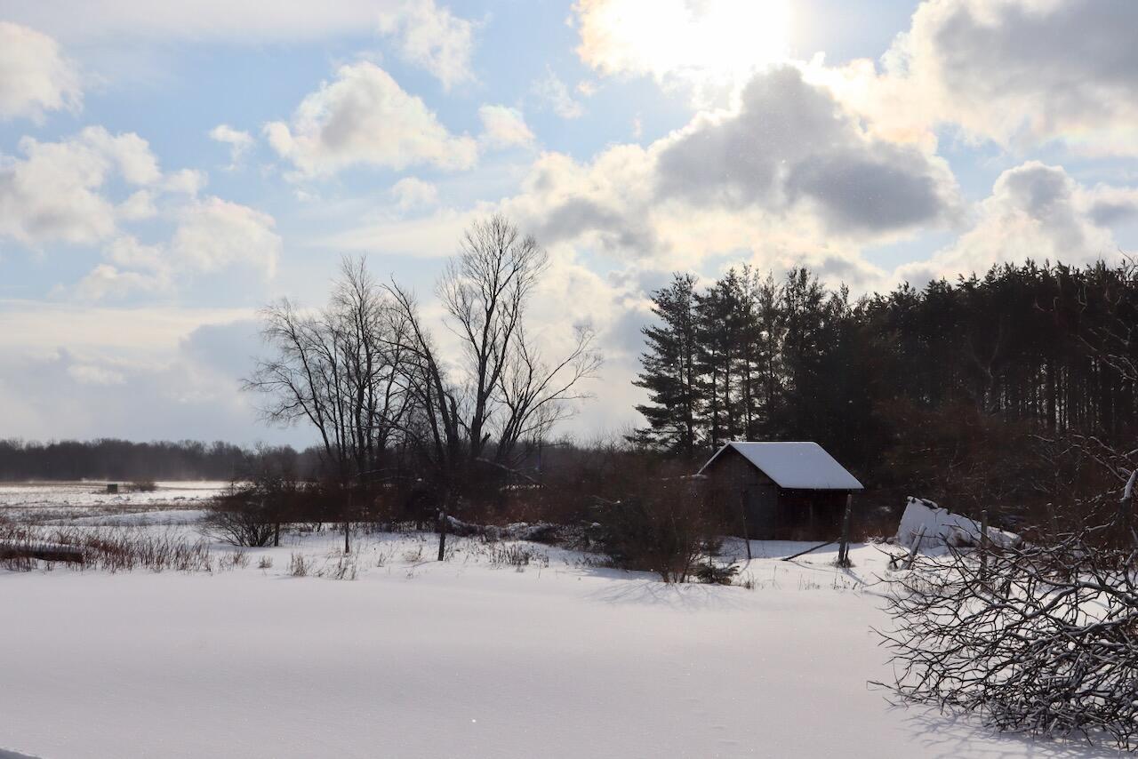 6182 Hamilton Road Harrison, MI 48625 - Photo 20 of 56 IMG_1666