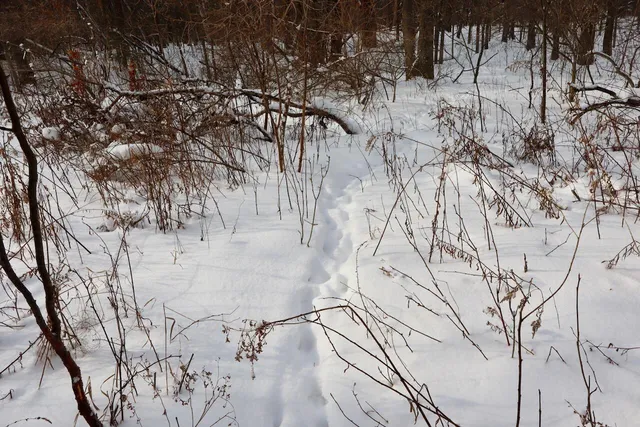 $415,000 | 6182 Hamilton Road, Harrison, MI 48625