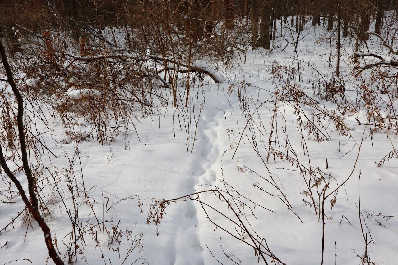 6182 Hamilton Road Harrison, MI 48625 - Photo 22 of 56 IMG_1669