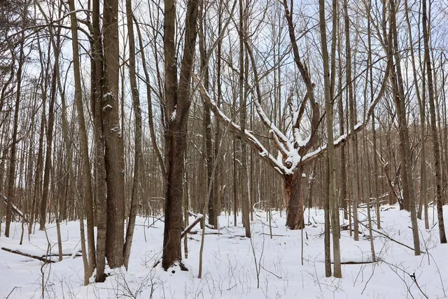 $415,000 | 6182 Hamilton Road, Harrison, MI 48625