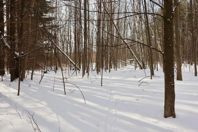 $415,000 | 6182 Hamilton Road, Harrison, MI 48625