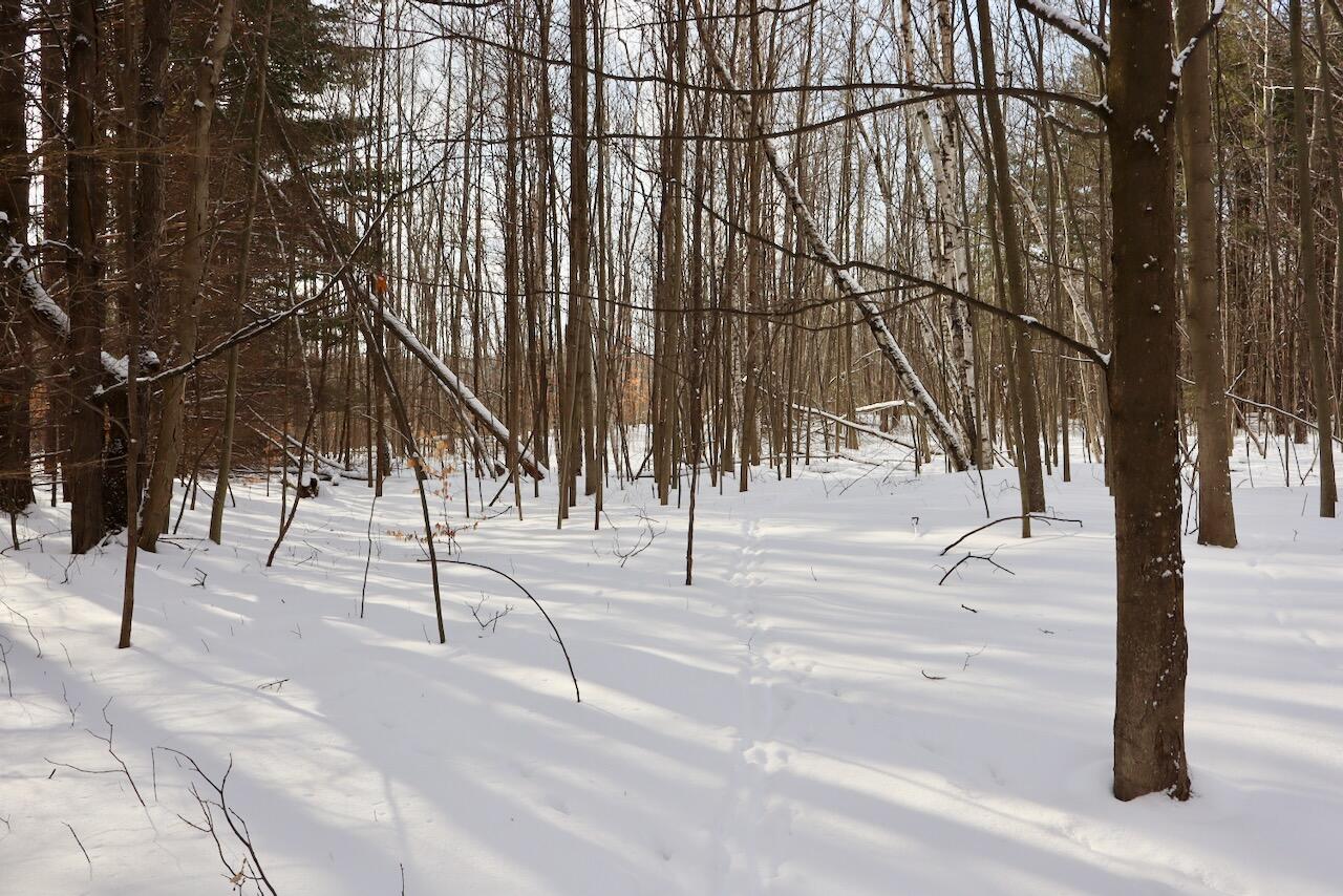 6182 Hamilton Road Harrison, MI 48625 - Photo 25 of 56 IMG_1673