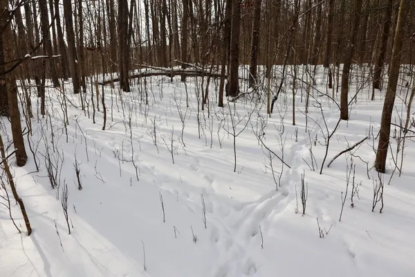 $415,000 | 6182 Hamilton Road, Harrison, MI 48625