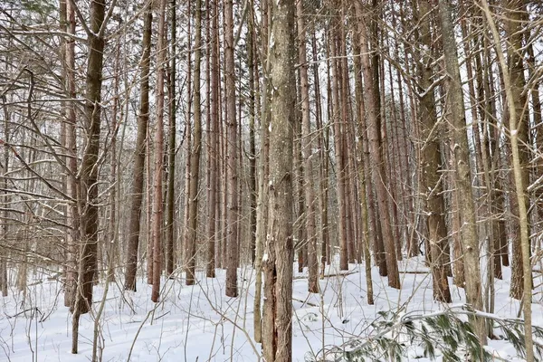 $415,000 | 6182 Hamilton Road, Harrison, MI 48625