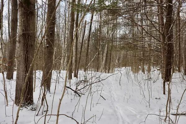 $415,000 | 6182 Hamilton Road, Harrison, MI 48625