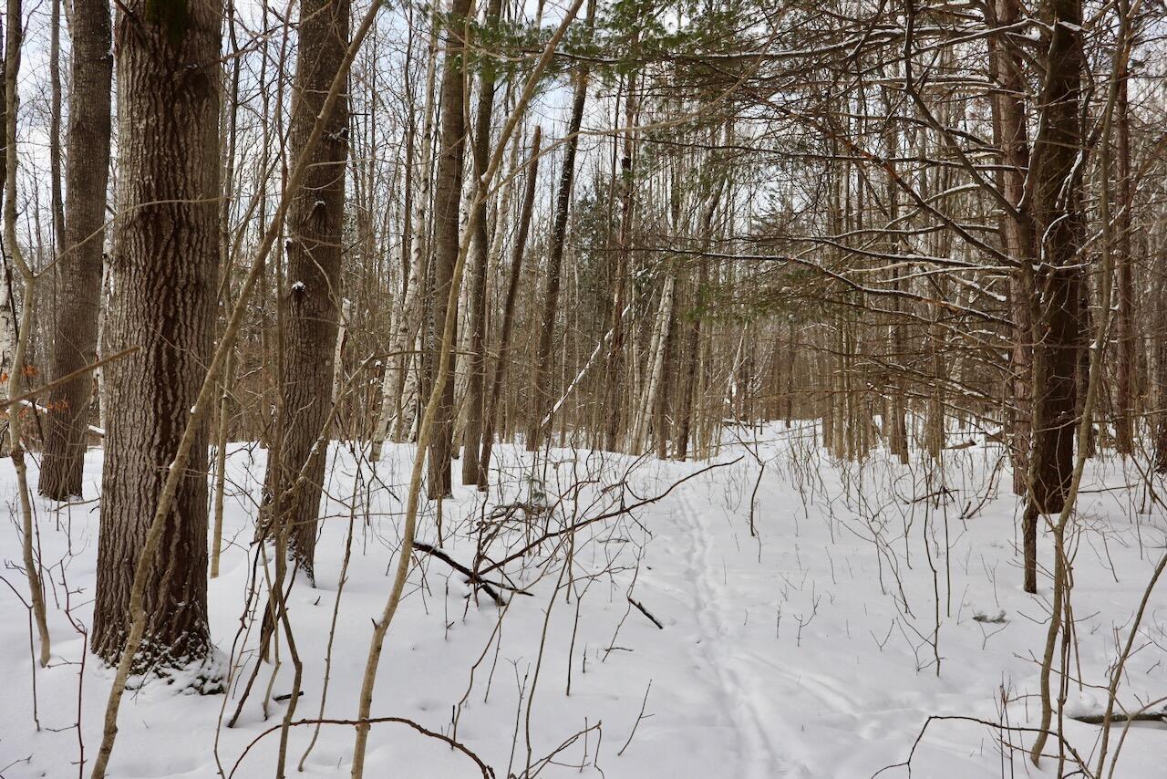 6182 Hamilton Road Harrison, MI 48625 - Photo 28 of 56 IMG_1676