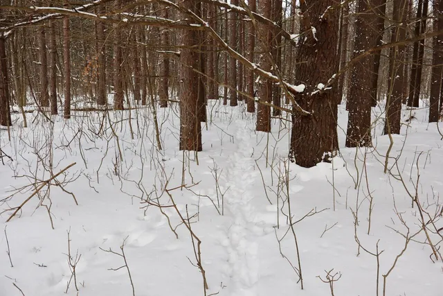 $415,000 | 6182 Hamilton Road, Harrison, MI 48625