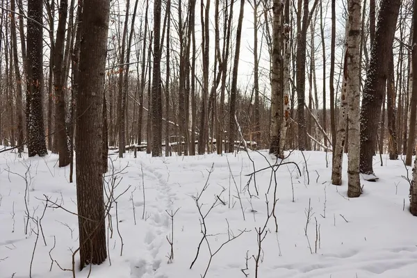 $415,000 | 6182 Hamilton Road, Harrison, MI 48625