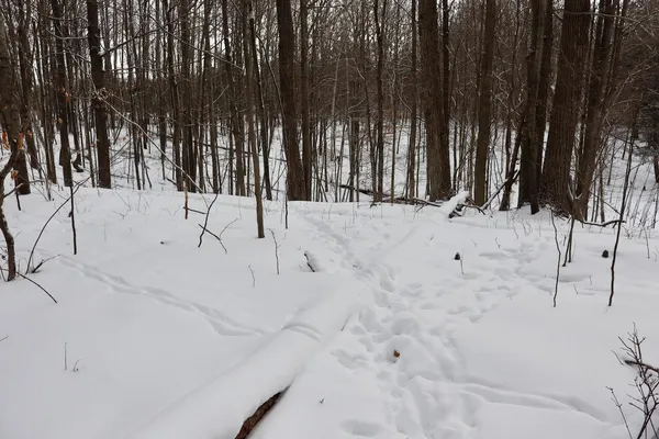 $415,000 | 6182 Hamilton Road, Harrison, MI 48625