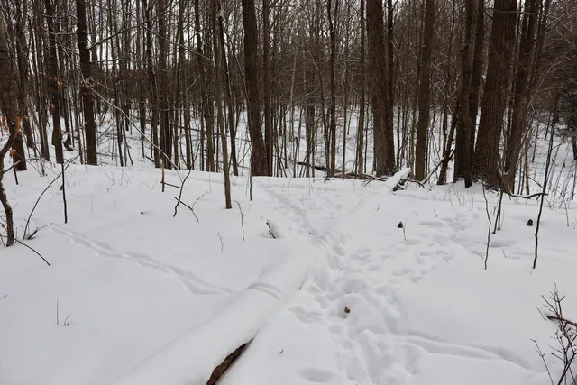 $415,000 | 6182 Hamilton Road, Harrison, MI 48625