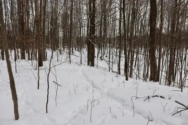 $415,000 | 6182 Hamilton Road, Harrison, MI 48625