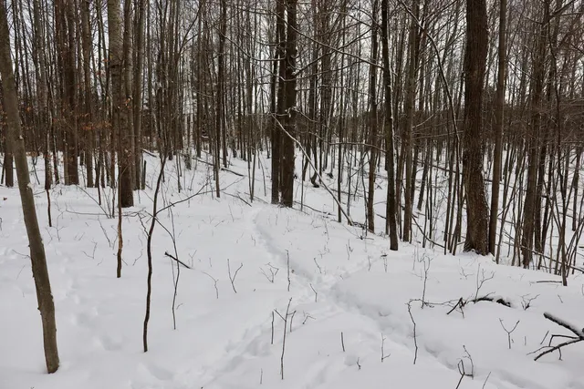 $415,000 | 6182 Hamilton Road, Harrison, MI 48625