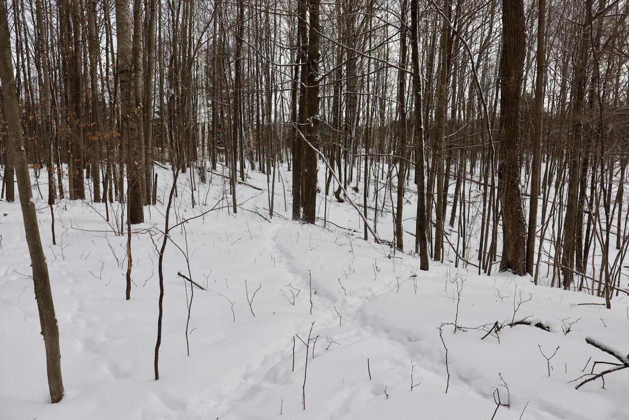 6182 Hamilton Road Harrison, MI 48625 - Photo 32 of 56 IMG_1680