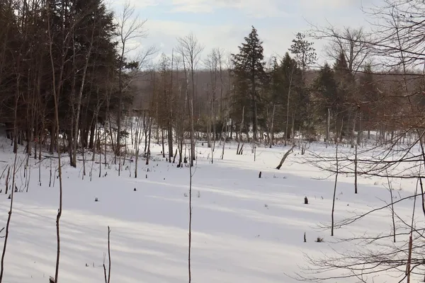 $415,000 | 6182 Hamilton Road, Harrison, MI 48625