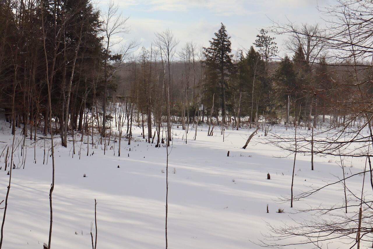 6182 Hamilton Road Harrison, MI 48625 - Photo 33 of 56 IMG_1682