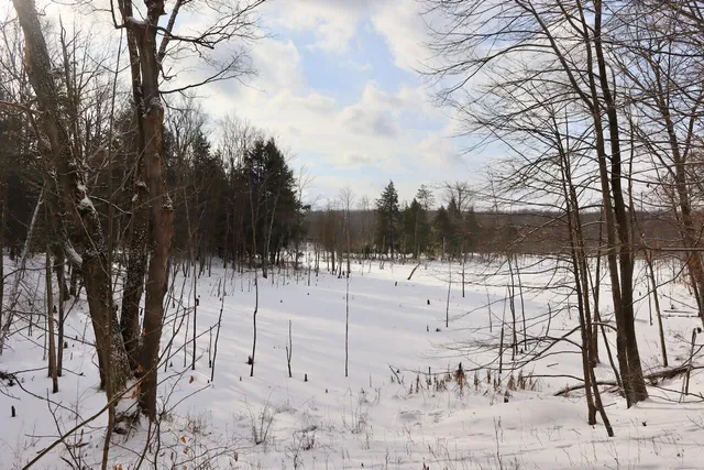 $415,000 | 6182 Hamilton Road, Harrison, MI 48625