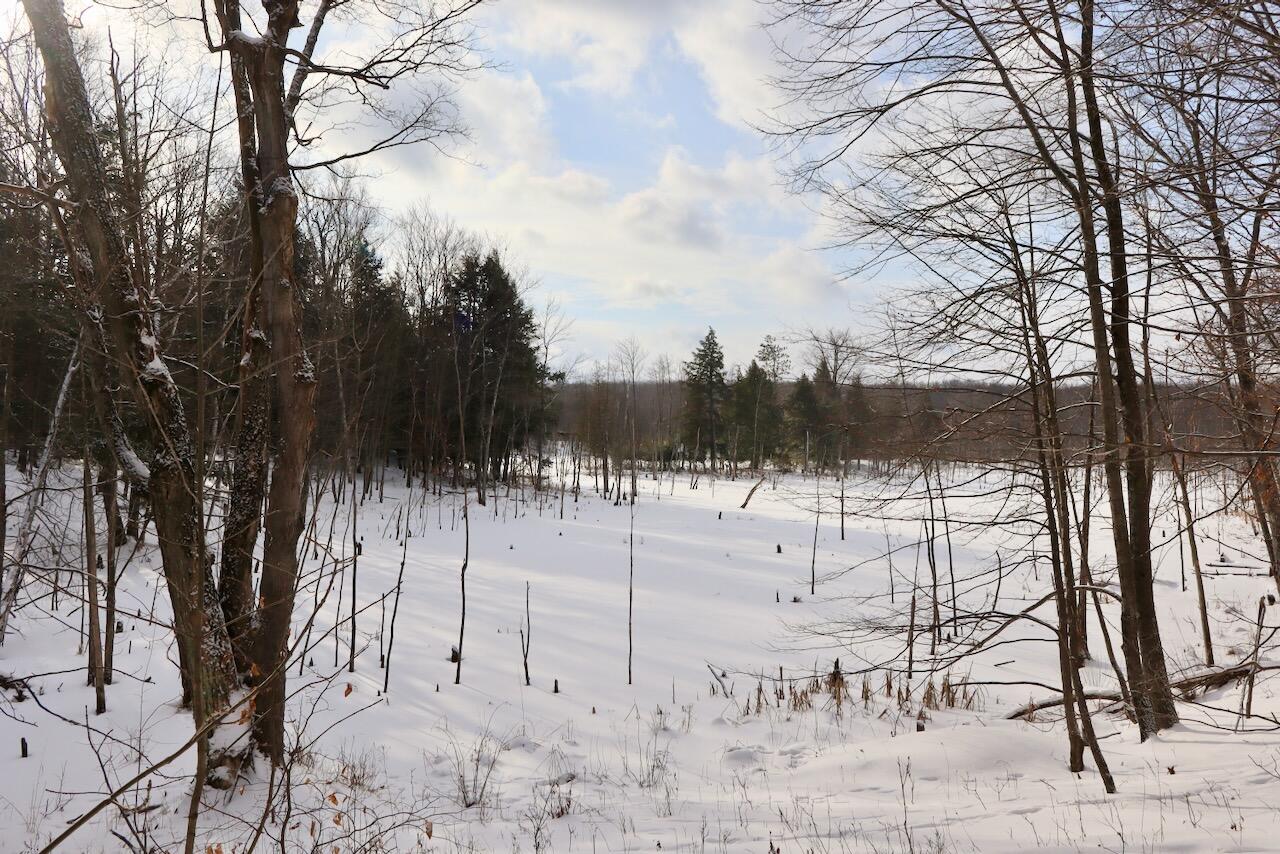 6182 Hamilton Road Harrison, MI 48625 - Photo 34 of 56 IMG_1683