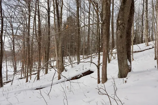 $415,000 | 6182 Hamilton Road, Harrison, MI 48625