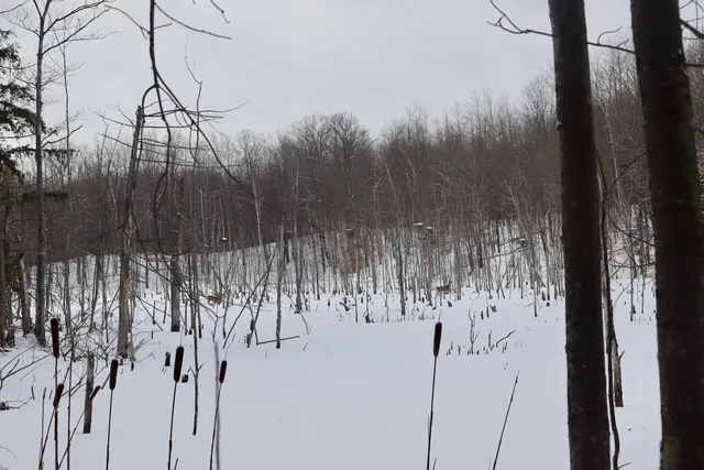 $415,000 | 6182 Hamilton Road, Harrison, MI 48625