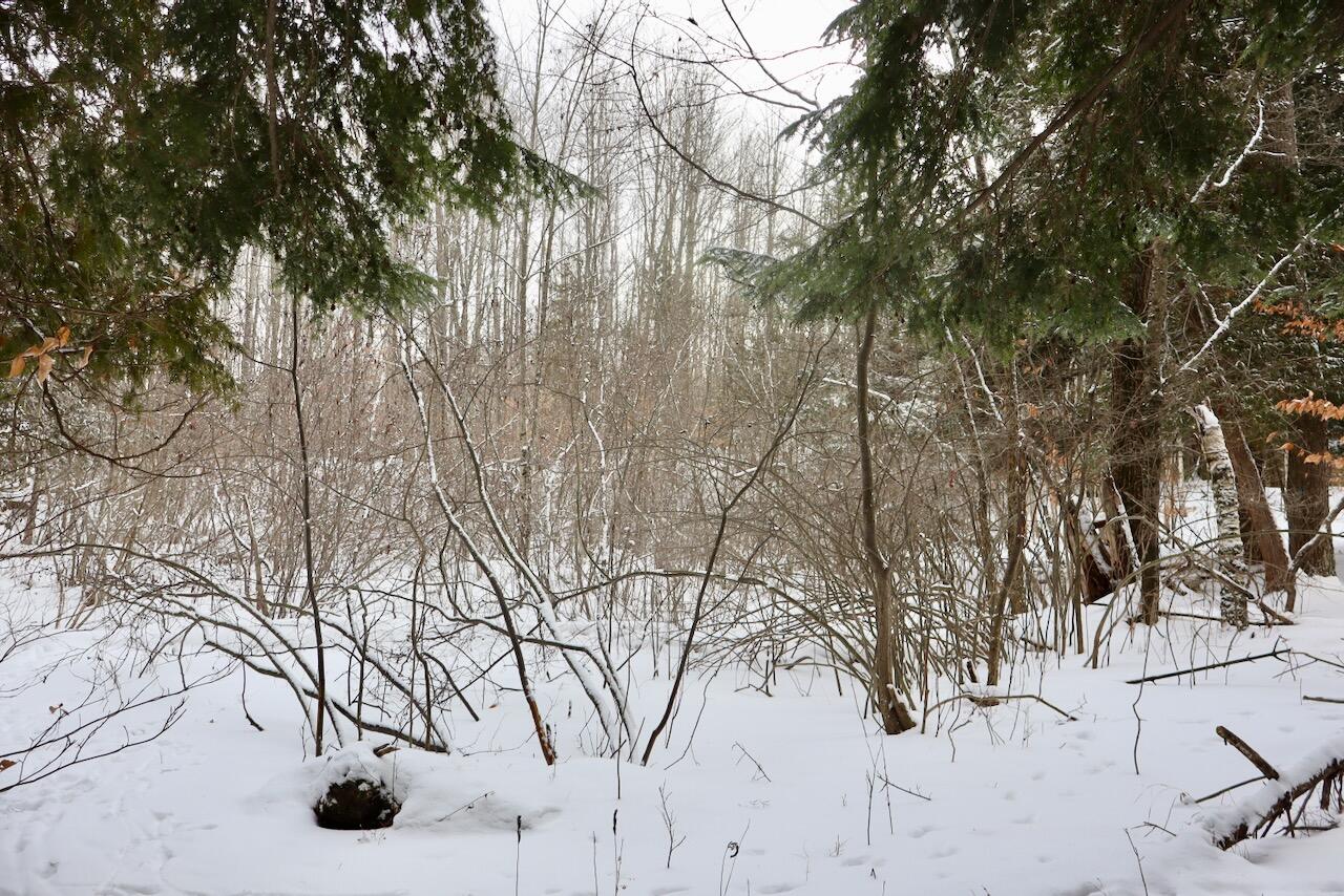 6182 Hamilton Road Harrison, MI 48625 - Photo 38 of 56 IMG_1688