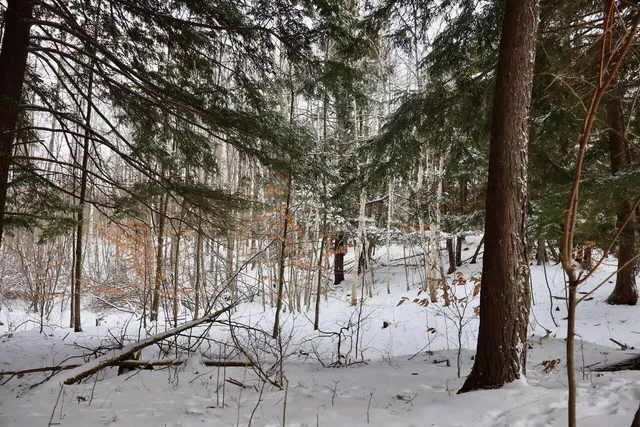 $415,000 | 6182 Hamilton Road, Harrison, MI 48625