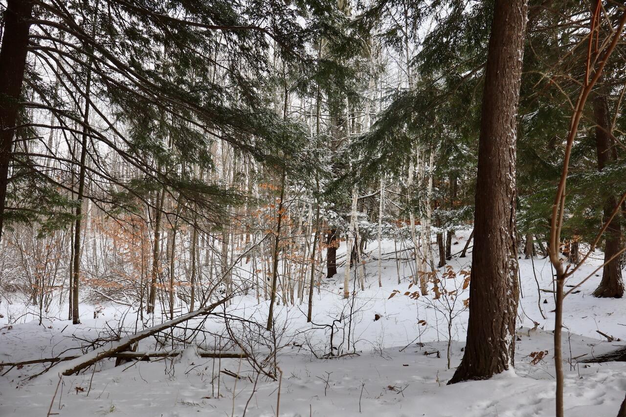 6182 Hamilton Road Harrison, MI 48625 - Photo 39 of 56 IMG_1690