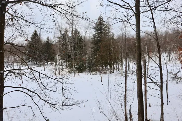 $415,000 | 6182 Hamilton Road, Harrison, MI 48625