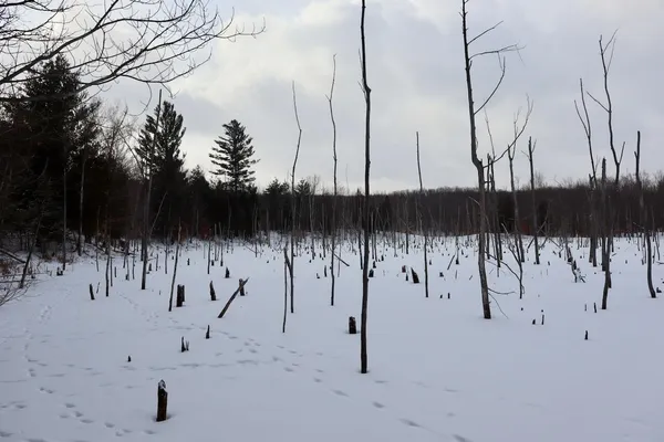 $415,000 | 6182 Hamilton Road, Harrison, MI 48625