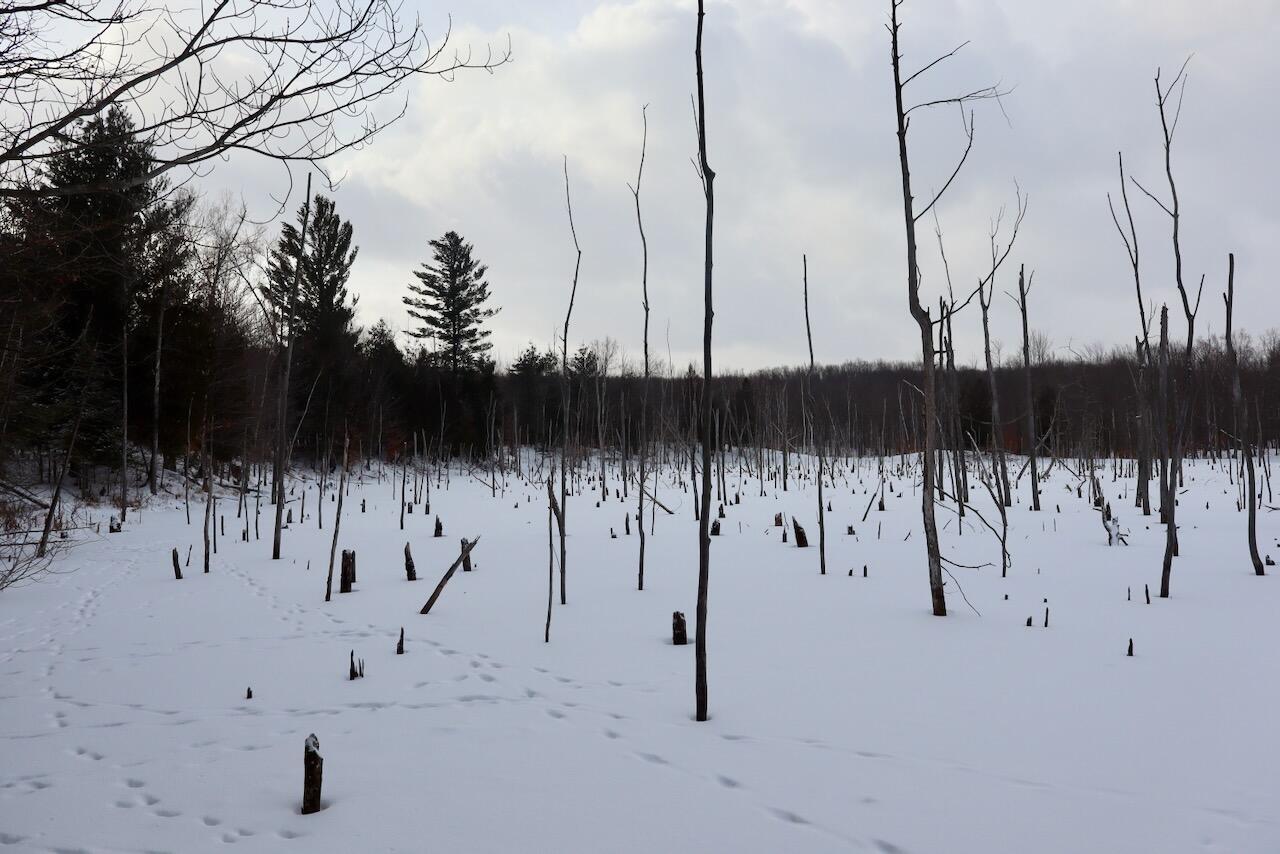 6182 Hamilton Road Harrison, MI 48625 - Photo 41 of 56 IMG_1693