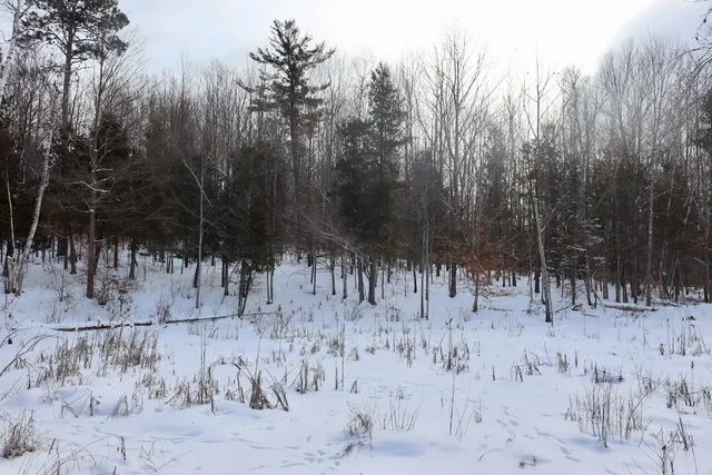 $415,000 | 6182 Hamilton Road, Harrison, MI 48625