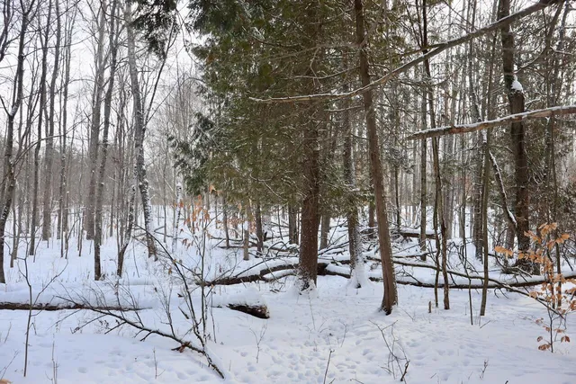 $415,000 | 6182 Hamilton Road, Harrison, MI 48625