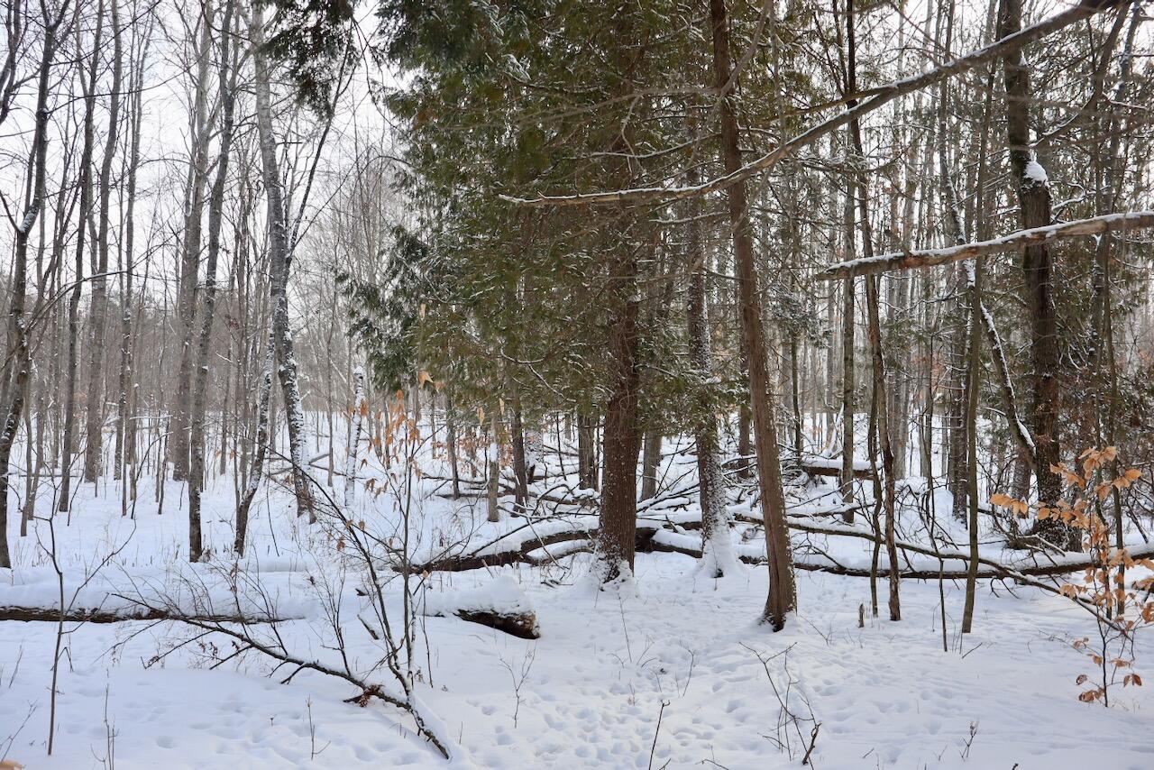 6182 Hamilton Road Harrison, MI 48625 - Photo 43 of 56 IMG_1696