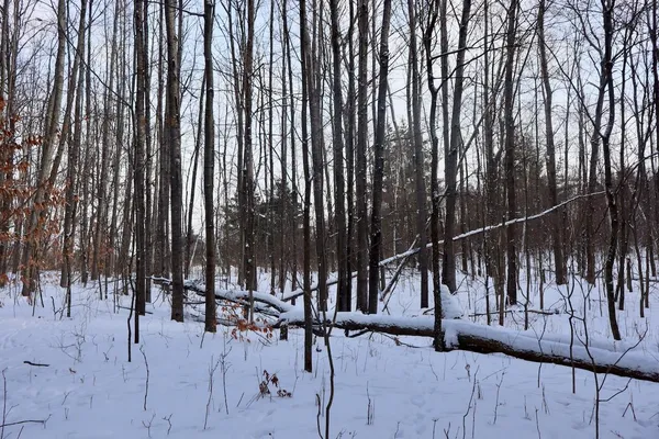 $415,000 | 6182 Hamilton Road, Harrison, MI 48625