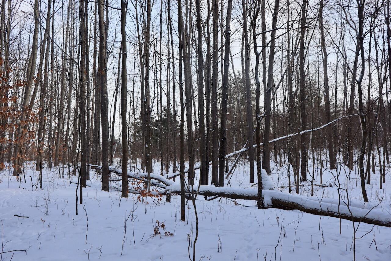 6182 Hamilton Road Harrison, MI 48625 - Photo 44 of 56 IMG_1697