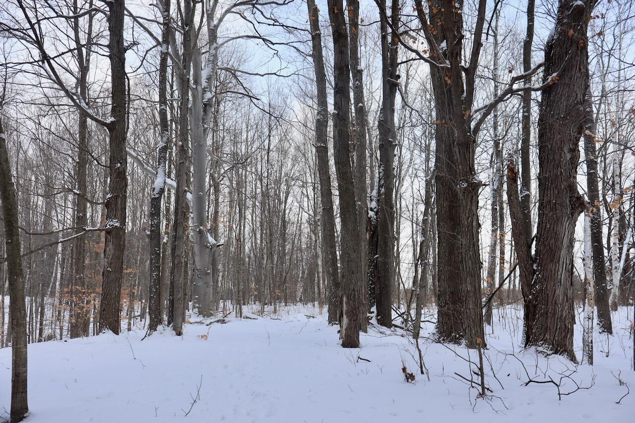 6182 Hamilton Road Harrison, MI 48625 - Photo 45 of 56 IMG_1698