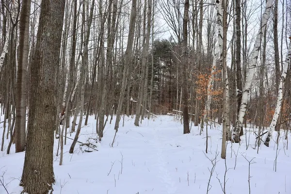 $415,000 | 6182 Hamilton Road, Harrison, MI 48625