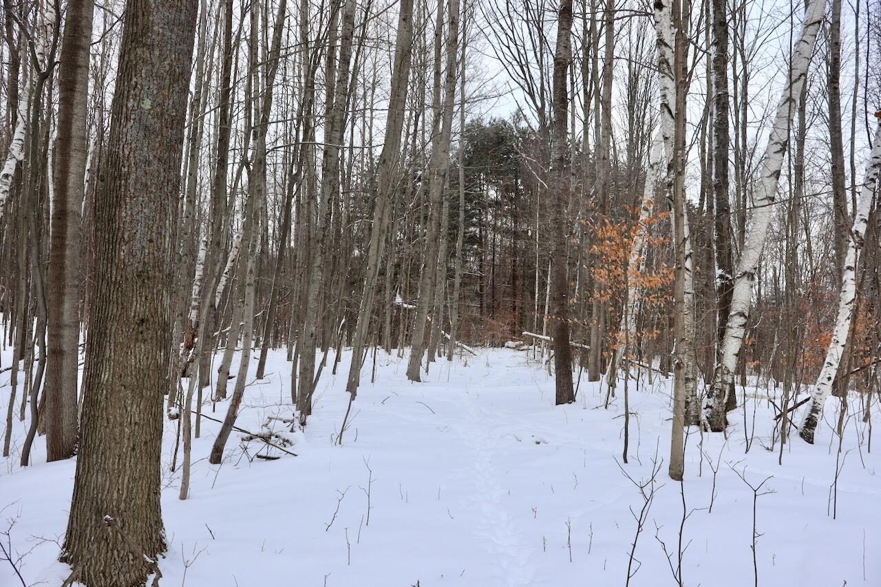 6182 Hamilton Road Harrison, MI 48625 - Photo 46 of 56 IMG_1699