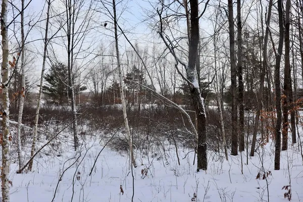 $415,000 | 6182 Hamilton Road, Harrison, MI 48625